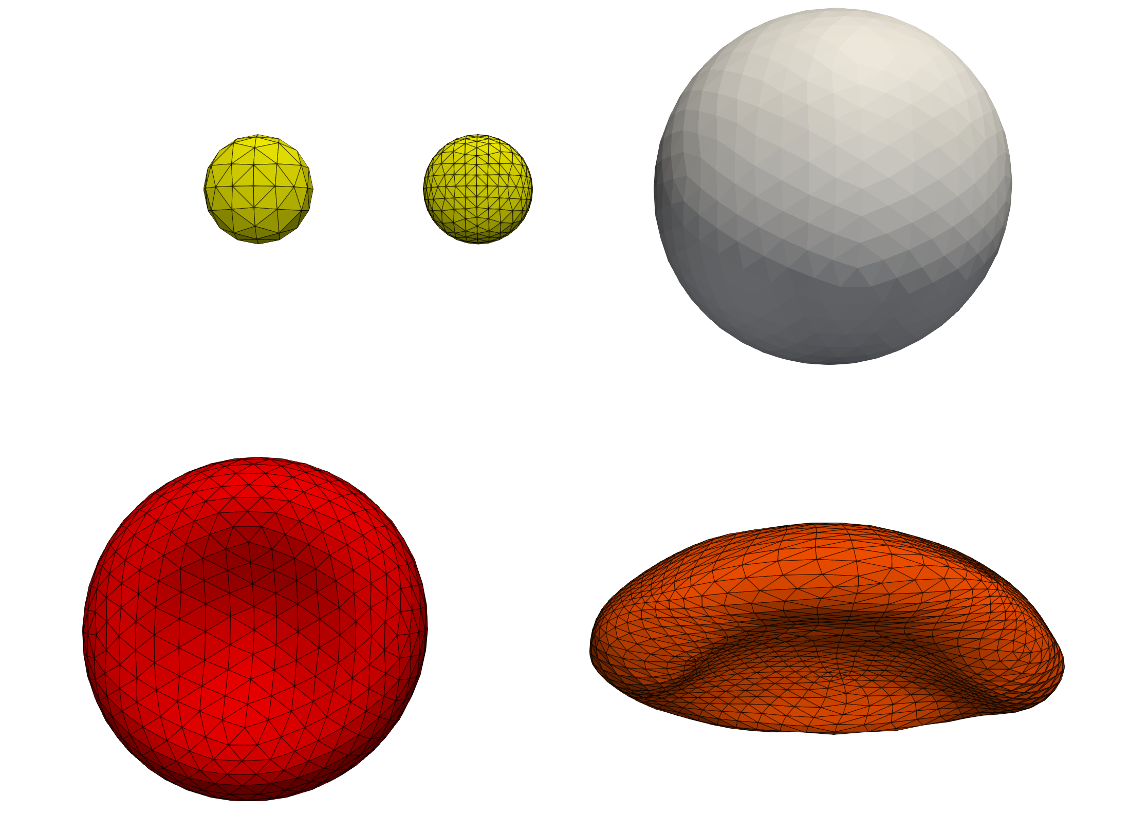 Different cell shapes.